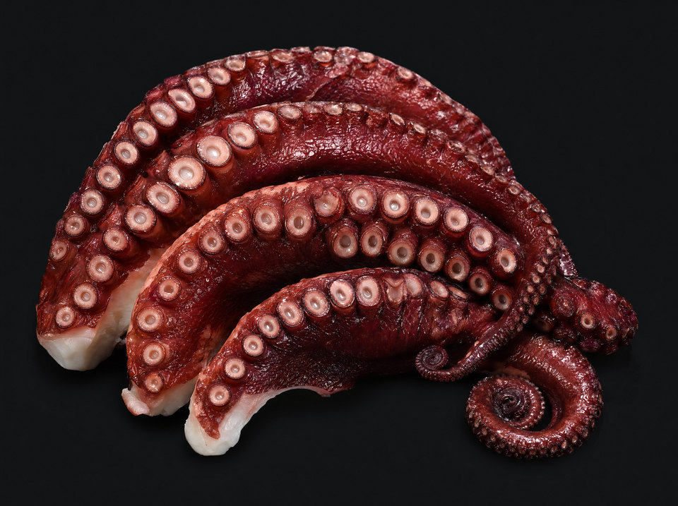 Cooked Octopus Arm
