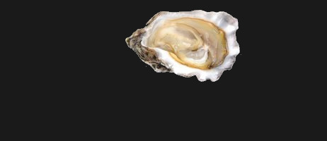 Gillardeau Oyster